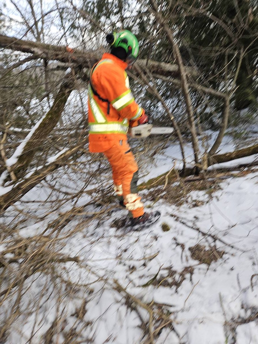Crew member in winter safety gear cutting back fallen trees along a rail corridor